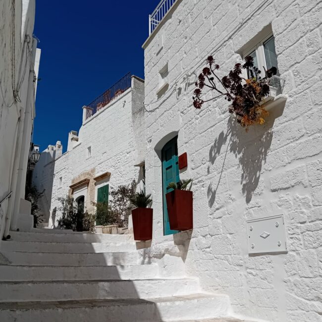 WhatsApp Image 2025-09-11 à 18.53.08_b48c4ae8